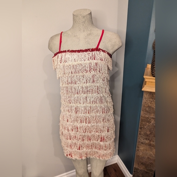Women’s Red sparkle Fringe 1920’s Flapper Great Gatsby Costume Dress Size XS/S - Picture 4 of 14